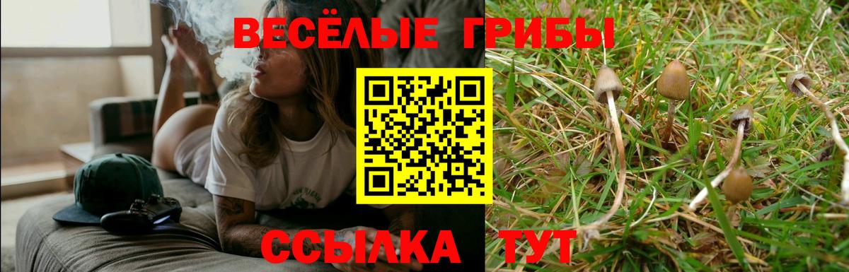 Галлюциногенные грибы мицелий  Вход с VPN  Алексеевка  Псилоцибиновые грибы Cubensis 